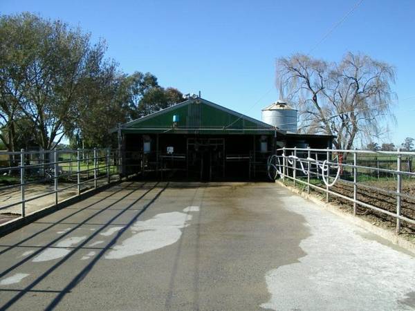 PRIME RURAL LAND Picture 2