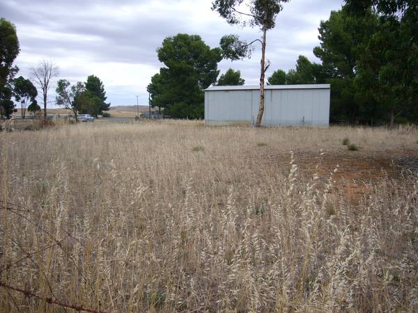 Great Value Building Block Picture 1