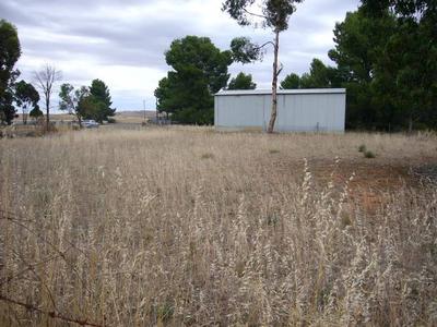 Great Value Building Block Picture