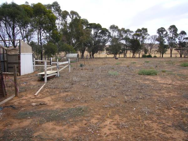 Old Mount Bryan Primary School - Great reno project on 3.3 acres Picture 3