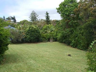 <center><b><font size=3><i>QUIET</i> OASIS</font size></b></center> Picture