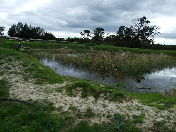 Don't Judge A Book By Its Cover Picture