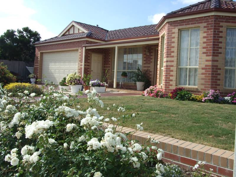 Position and Presentation Picture 1