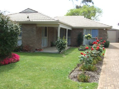 Ideal Starter Picture