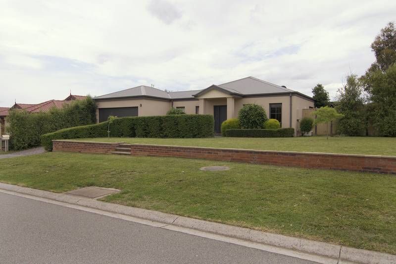 Friday night at the movies Picture 1