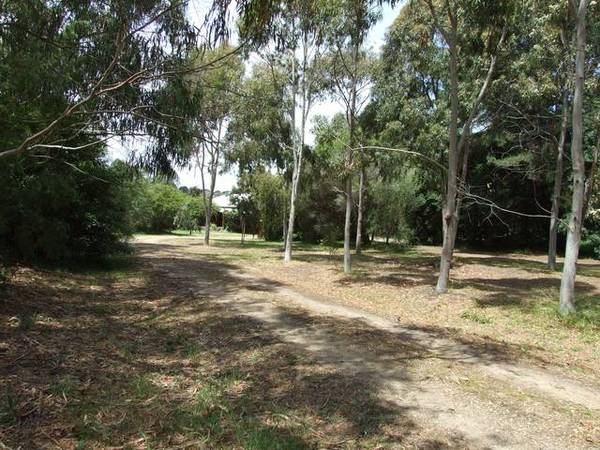 Possum Pond Picture 1