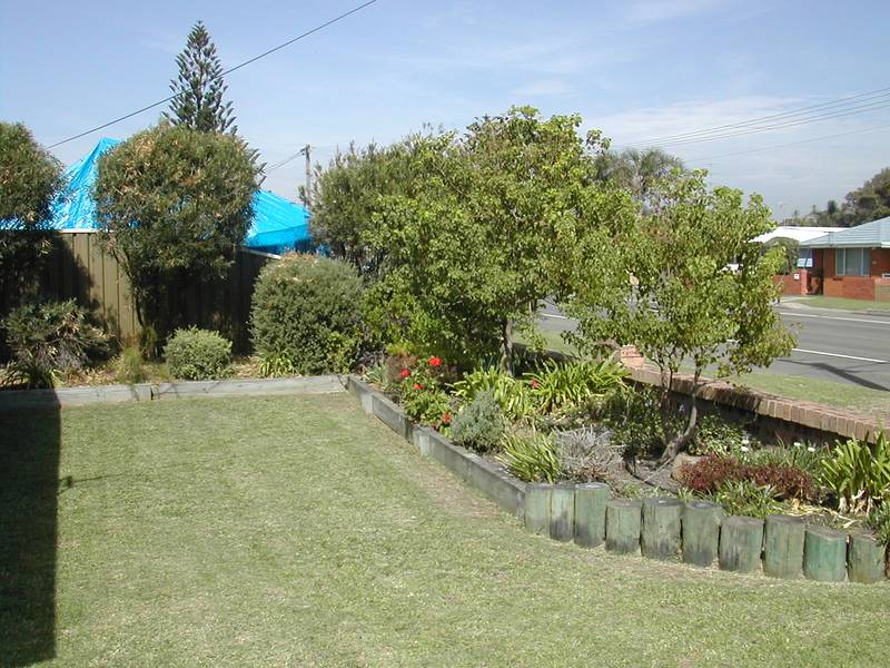 Cheapest House in Town Picture 2