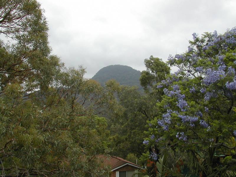 Two Family Living! Picture 2