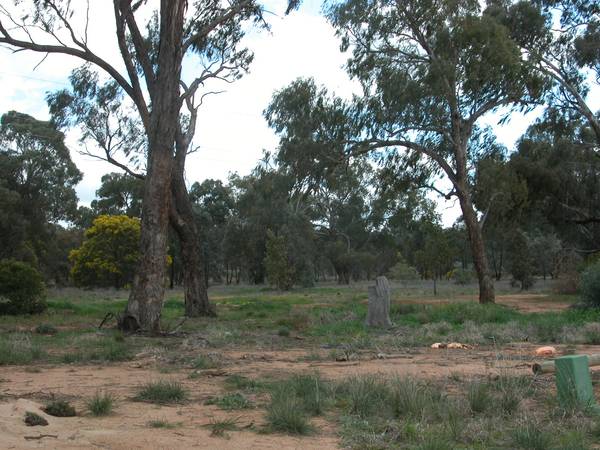 Big Block Small Price Picture 1