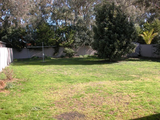 LAKE ALBERT - Available 18/3/09 Picture