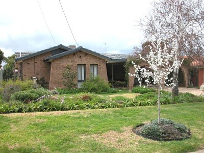 FAMILY LIVING AT IT'S BEST - LAKE ALBERT Picture FAMILY LIVING AT IT'S BEST - LAKE ALBERT Picture