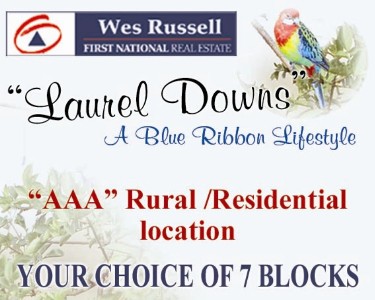 SIX SOLD - ONE LEFT! Picture SIX SOLD - ONE LEFT! Picture