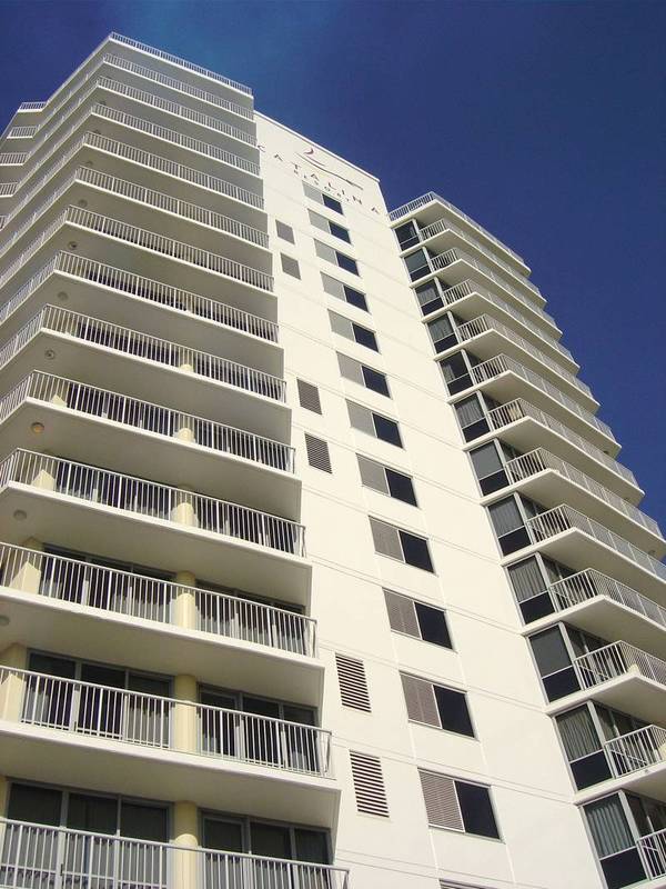Big Cotton Tree Apartment with Ocean Views Picture 2