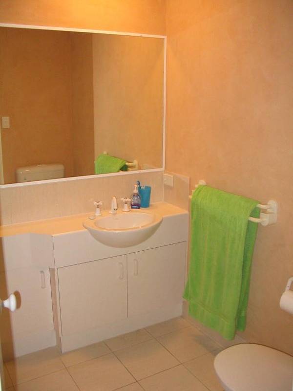 In The Heart Of Cotton Tree Picture 3