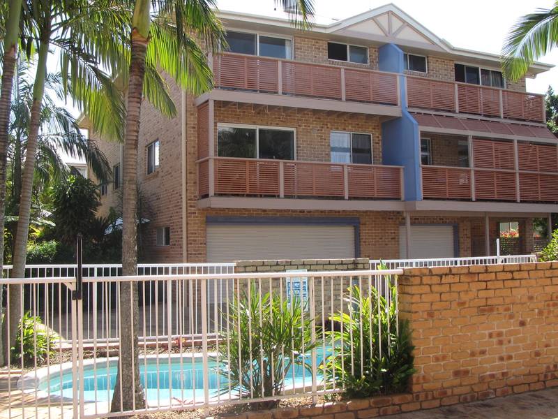 In The Heart Of Cotton Tree Picture 1