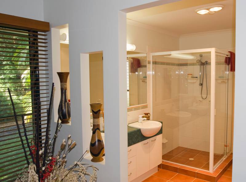 Rainforest Backdrop, Extensive Bird life, Many Extras!! Picture 3