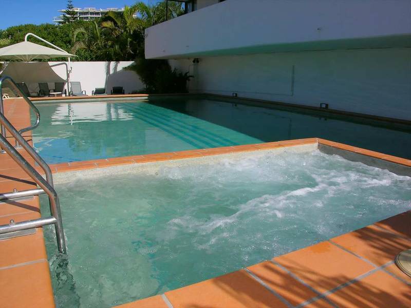 Cotton Tree - Central Picture 2