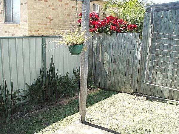 LARGE MAROOCHYDORE TOWNHOUSE Picture 3
