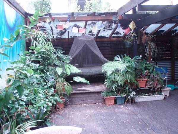 Stylish Townhouse in Cotton Tree Picture 3