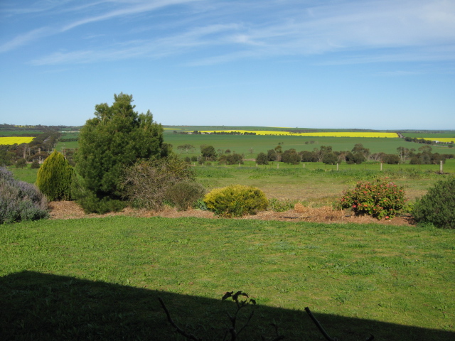 Beautiful Brick Home on Edge of Town Acreage Picture 2