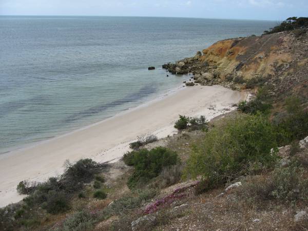 Absolute Beachfront Acreage Picture 3