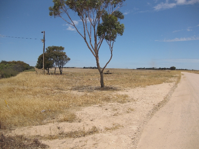 SECLUDED VACANT ALLOTMENT Picture 1