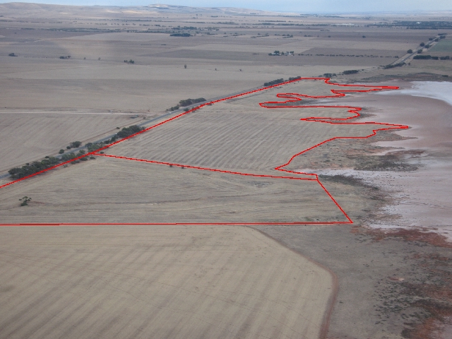 916 ACRES LOCHIEL CROPPING LAND Picture 2