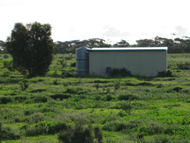 Rural Lifestyle Block With Sea Views Picture 3