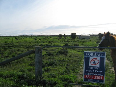 Rural Lifestyle Block With Sea Views Picture Rural Lifestyle Block With Sea Views Picture