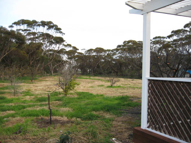 An Acre of Rural Seclusion Picture 3