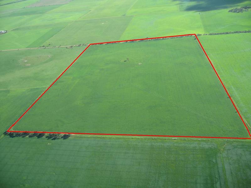 Perfect farm build up opportunity Picture 2