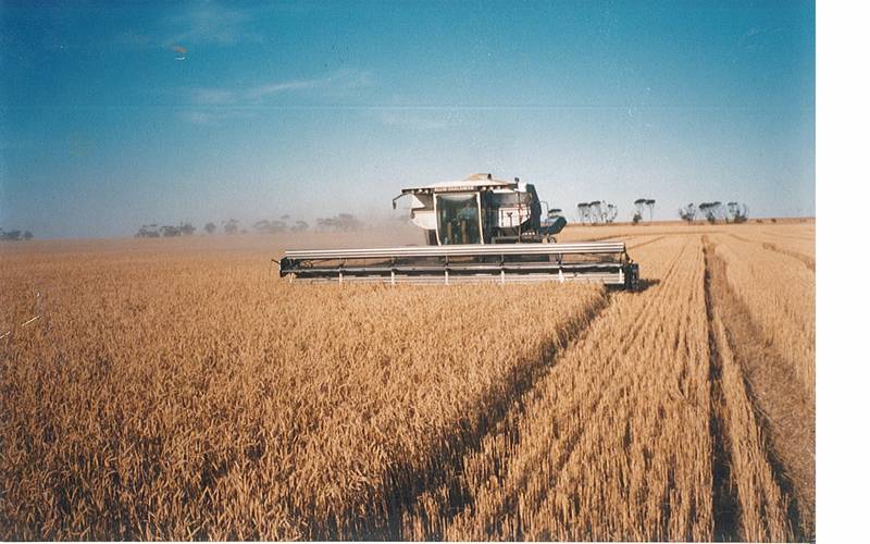 134ACRES LOCHIEL CROPPING Picture 1