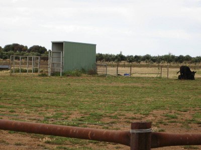 Rural Living Coastal Farmlets Picture Rural Living Coastal Farmlets Picture