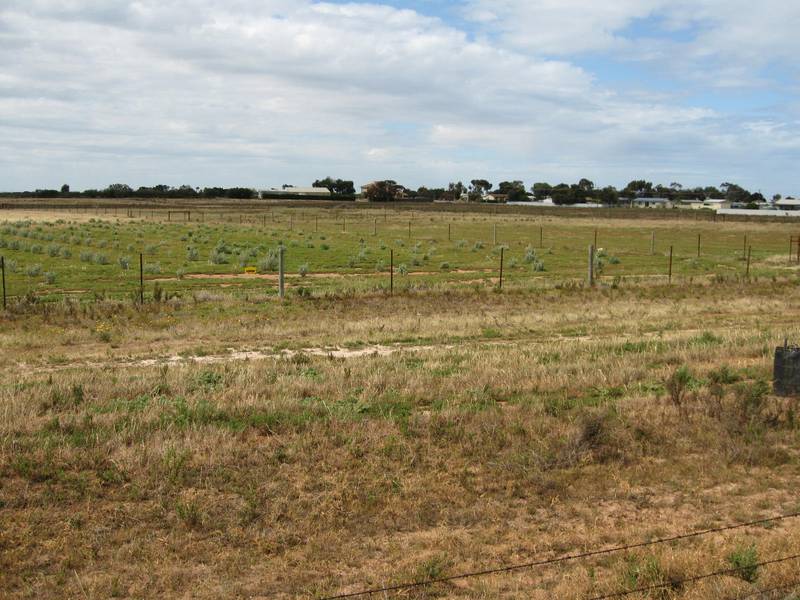 Rural Living Coastal Farmlets Picture 2