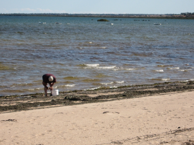 New Coastal Land Division Release Picture 2