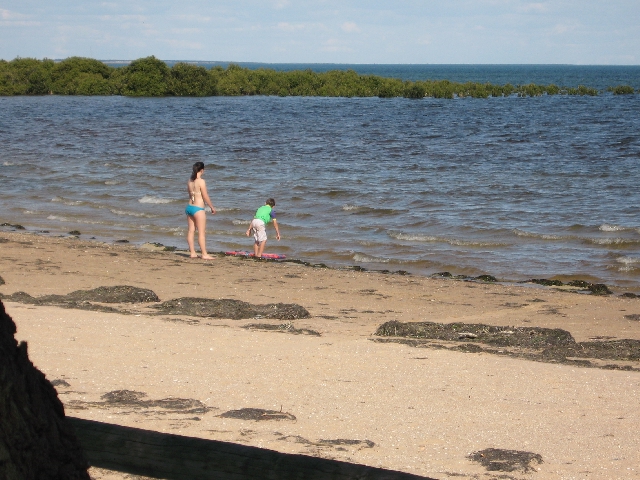 New Coastal Land Division Release Picture 3