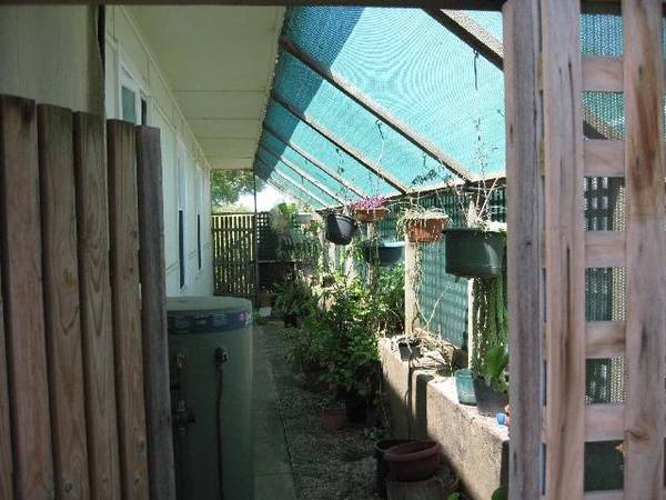 Neat Home on 2 Allotments Picture 3