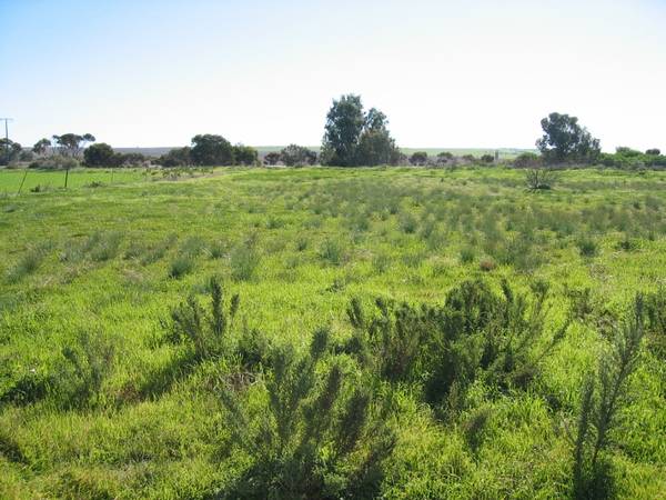 Build Your Own Holiday Home Picture 3