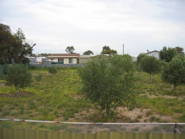 BUILDING BLOCK WITH OLIVES TREES Picture 1