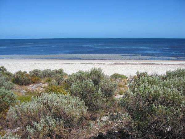 PRISTINE BEACHSIDE BLOCK-29.75 ACRES Picture 1