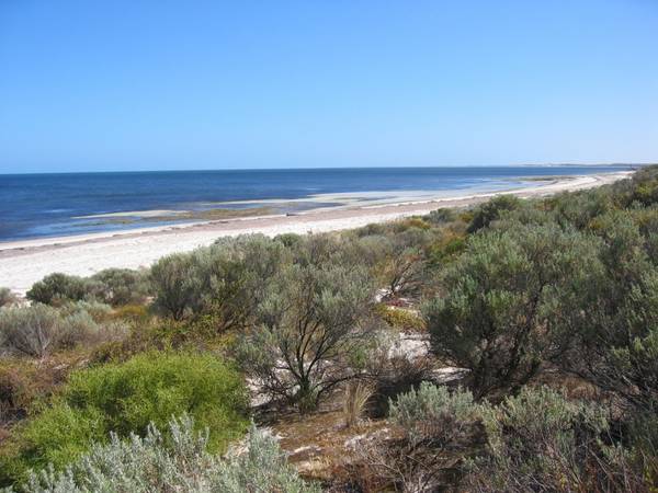 PRISTINE BEACHSIDE BLOCK-29.75 ACRES Picture 3