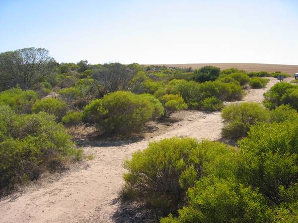 PRISTINE BEACHSIDE BLOCK-29.75 ACRES Picture 2