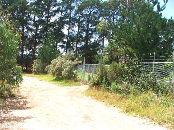1226m2...Investment Opportunity Picture 3