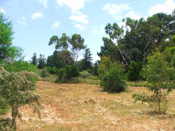 1226m2...Investment Opportunity Picture 2