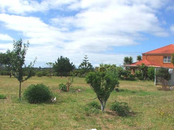 8 Acres+...52 Squares (living) Picture 2