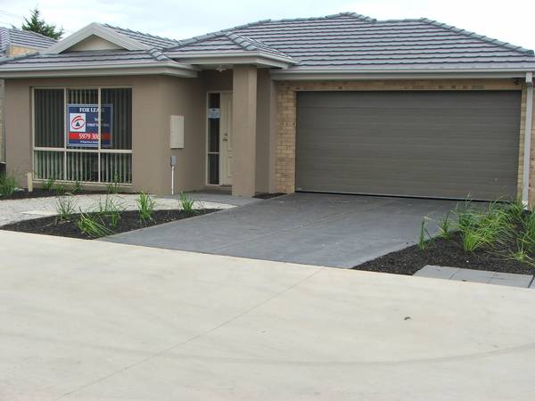 Currawong Design Picture