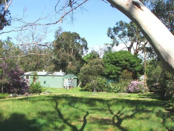 1/2 Acre - Shady Gum Picture 3