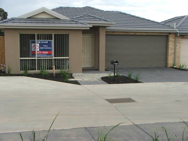 Currawong Design Picture