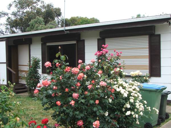 Close to Town Picture 1