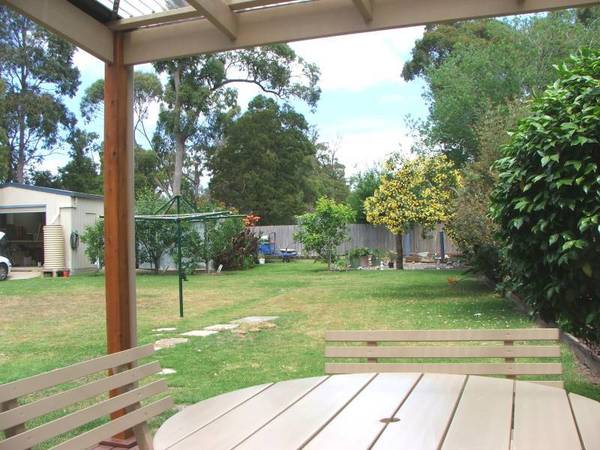 1/4 Acre+...The Little Farm Picture